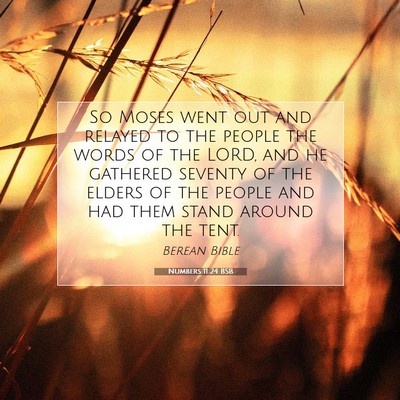 Picture 07 - Numbers 11:24 BSB - So Moses went out and relayed to the people the - Bible Verse Picture
