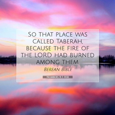 Picture 07 - Numbers 11:3 BSB - So that place was called Taberah, because the - Bible Verse Picture