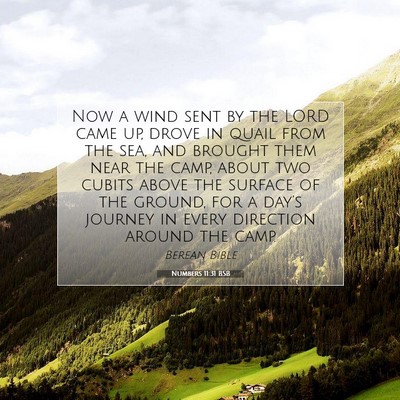 Picture 07 - Numbers 11:31 BSB - Now a wind sent by the LORD came up, drove in - Bible Verse Picture