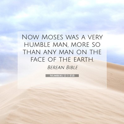 Picture 07 - Numbers 12:3 BSB - Now Moses was a very humble man, more so than any - Bible Verse Picture
