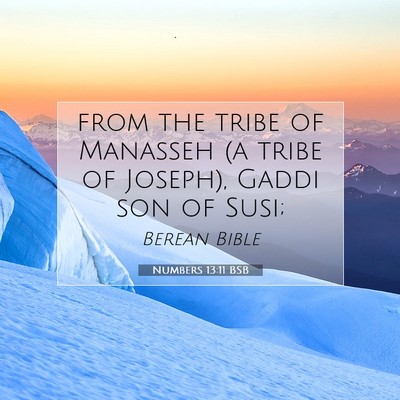 Picture 07 - Numbers 13:11 BSB - from the tribe of Manasseh (a tribe of Joseph), - Bible Verse Picture