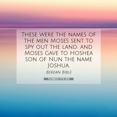 Picture 07 - Numbers 13:16 BSB - These were the names of the men Moses sent to spy - Bible Verse Picture