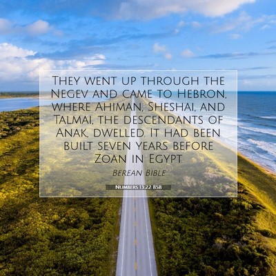 Picture 07 - Numbers 13:22 BSB - They went up through the Negev and came to - Bible Verse Picture