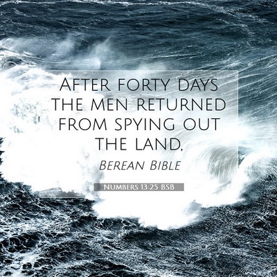 Picture 07 - Numbers 13:25 BSB - After forty days the men returned from spying out - Bible Verse Picture