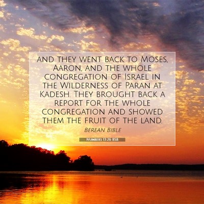 Picture 07 - Numbers 13:26 BSB - and they went back to Moses, Aaron, and the whole - Bible Verse Picture