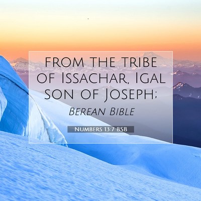 Picture 07 - Numbers 13:7 BSB - from the tribe of Issachar, Igal son of - Bible Verse Picture