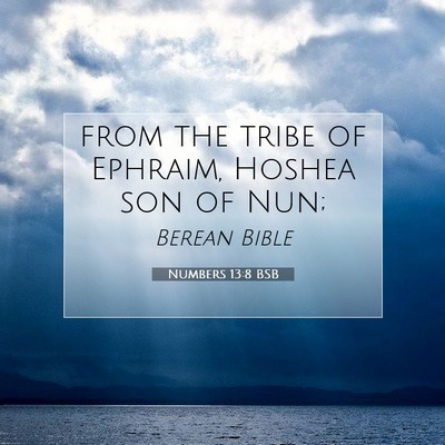 Picture 07 - Numbers 13:8 BSB - from the tribe of Ephraim, Hoshea son of - Bible Verse Picture
