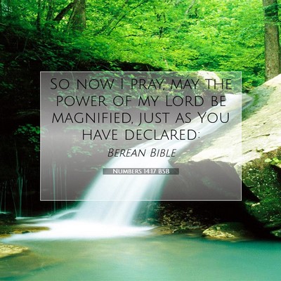 Picture 07 - Numbers 14:17 BSB - So now I pray, may the power of my Lord be - Bible Verse Picture