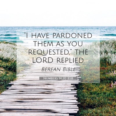 Picture 07 - Numbers 14:20 BSB - “I have pardoned them as you requested,” the - Bible Verse Picture