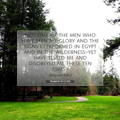 Picture 07 - Numbers 14:22 BSB - not one of the men who have seen My glory and the - Bible Verse Picture