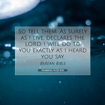 Picture 07 - Numbers 14:28 BSB - So tell them: As surely as I live, declares the - Bible Verse Picture