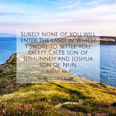 Picture 07 - Numbers 14:30 BSB - Surely none of you will enter the land in which I - Bible Verse Picture
