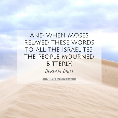 Picture 07 - Numbers 14:39 BSB - And when Moses relayed these words to all the - Bible Verse Picture