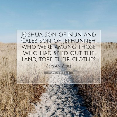 Picture 07 - Numbers 14:6 BSB - Joshua son of Nun and Caleb son of Jephunneh, who - Bible Verse Picture
