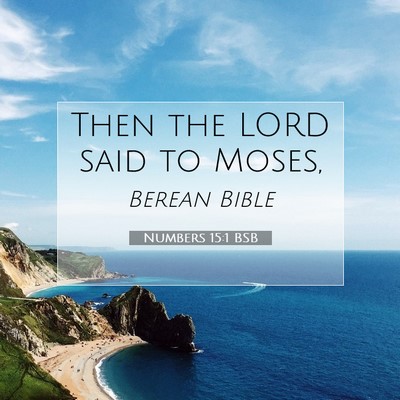 Picture 07 - Numbers 15:1 BSB - Then the LORD said to - Bible Verse Picture