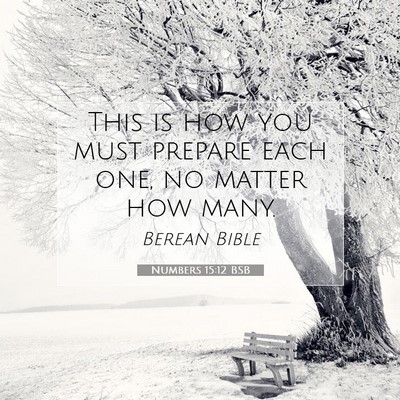 Picture 07 - Numbers 15:12 BSB - This is how you must prepare each one, no matter - Bible Verse Picture