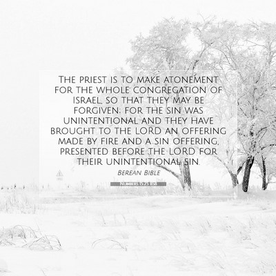 Picture 07 - Numbers 15:25 BSB - The priest is to make atonement for the whole - Bible Verse Picture