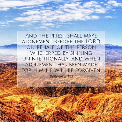 Picture 07 - Numbers 15:28 BSB - And the priest shall make atonement before the - Bible Verse Picture