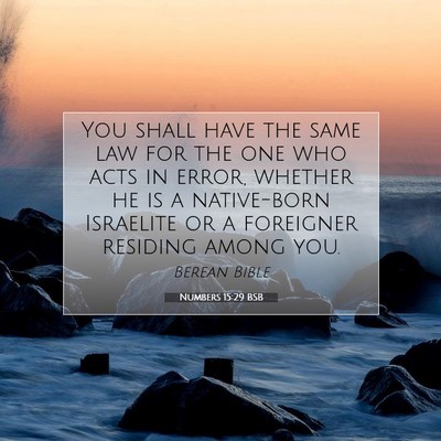 Picture 07 - Numbers 15:29 BSB - You shall have the same law for the one who acts - Bible Verse Picture