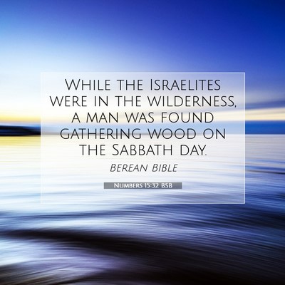Picture 07 - Numbers 15:32 BSB - While the Israelites were in the wilderness, a - Bible Verse Picture