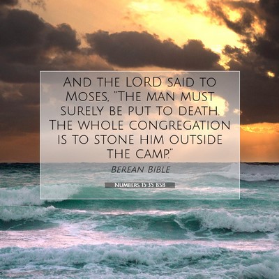 Picture 07 - Numbers 15:35 BSB - And the LORD said to Moses, “The man must - Bible Verse Picture