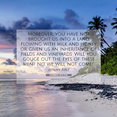 Picture 07 - Numbers 16:14 BSB - Moreover, you have not brought us into a land - Bible Verse Picture