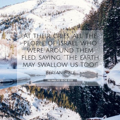 Picture 07 - Numbers 16:34 BSB - At their cries, all the people of Israel who were - Bible Verse Picture