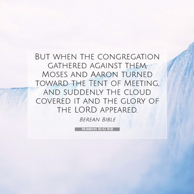 Picture 07 - Numbers 16:42 BSB - But when the congregation gathered against them, - Bible Verse Picture