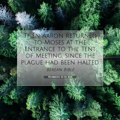 Picture 07 - Numbers 16:50 BSB - Then Aaron returned to Moses at the entrance to - Bible Verse Picture
