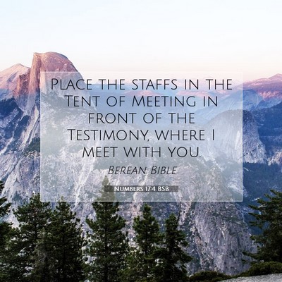 Picture 07 - Numbers 17:4 BSB - Place the staffs in the Tent of Meeting in front - Bible Verse Picture