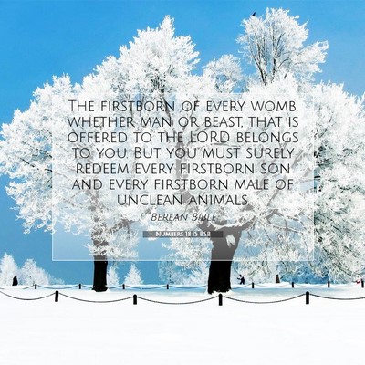 Picture 07 - Numbers 18:15 BSB - The firstborn of every womb, whether man or - Bible Verse Picture