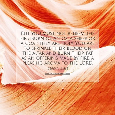 Picture 07 - Numbers 18:17 BSB - But you must not redeem the firstborn of an ox, a - Bible Verse Picture