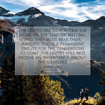Picture 07 - Numbers 18:23 BSB - The Levites are to perform the work of the Tent - Bible Verse Picture