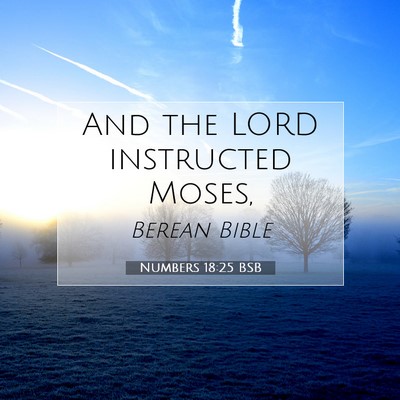 Picture 07 - Numbers 18:25 BSB - And the LORD instructed - Bible Verse Picture