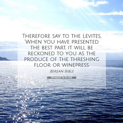 Picture 07 - Numbers 18:30 BSB - Therefore say to the Levites, ‘When you have - Bible Verse Picture