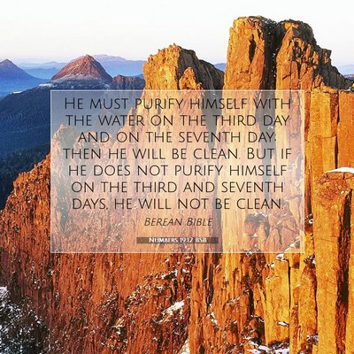 Picture 07 - Numbers 19:12 BSB - He must purify himself with the water on the - Bible Verse Picture