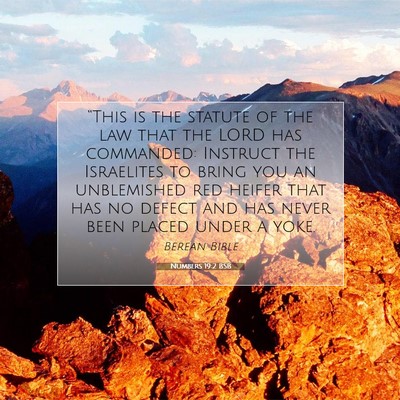 Picture 07 - Numbers 19:2 BSB - “This is the statute of the law that the LORD - Bible Verse Picture