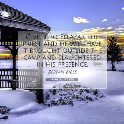 Picture 07 - Numbers 19:3 BSB - Give it to Eleazar the priest, and he will have - Bible Verse Picture