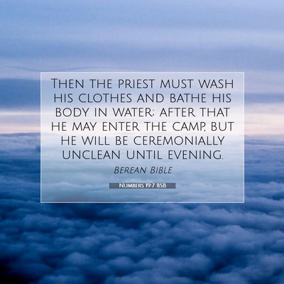 Picture 07 - Numbers 19:7 BSB - Then the priest must wash his clothes and bathe - Bible Verse Picture