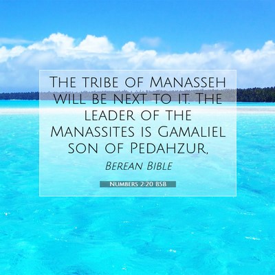Picture 07 - Numbers 2:20 BSB - The tribe of Manasseh will be next to it. The - Bible Verse Picture