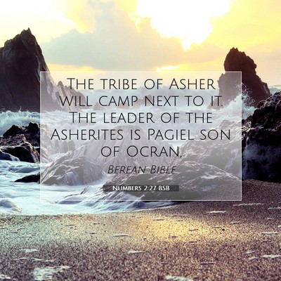 Picture 07 - Numbers 2:27 BSB - The tribe of Asher will camp next to it. The - Bible Verse Picture