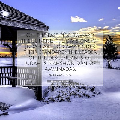 Picture 07 - Numbers 2:3 BSB - On the east side, toward the sunrise, the - Bible Verse Picture