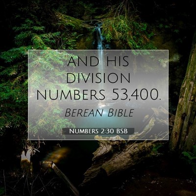 Picture 07 - Numbers 2:30 BSB - and his division numbers - Bible Verse Picture
