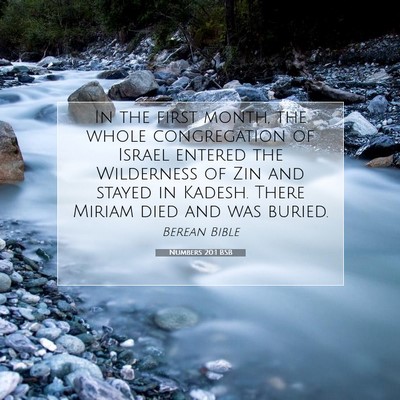 Picture 07 - Numbers 20:1 BSB - In the first month, the whole congregation of - Bible Verse Picture