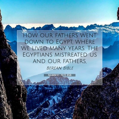 Picture 07 - Numbers 20:15 BSB - how our fathers went down to Egypt, where we - Bible Verse Picture
