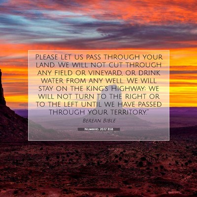 Picture 07 - Numbers 20:17 BSB - Please let us pass through your land. We will not - Bible Verse Picture