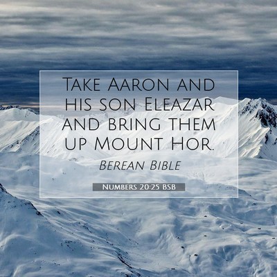 Picture 07 - Numbers 20:25 BSB - Take Aaron and his son Eleazar and bring them up - Bible Verse Picture