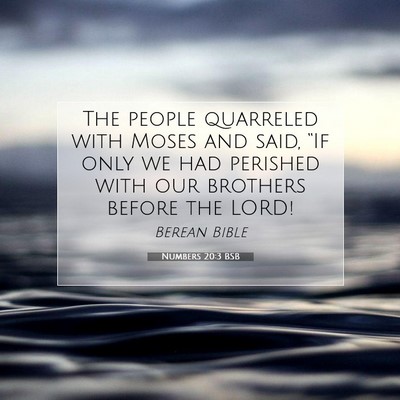 Picture 07 - Numbers 20:3 BSB - The people quarreled with Moses and said, “If - Bible Verse Picture