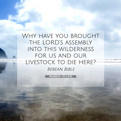 Picture 07 - Numbers 20:4 BSB - Why have you brought the LORD’s assembly into - Bible Verse Picture