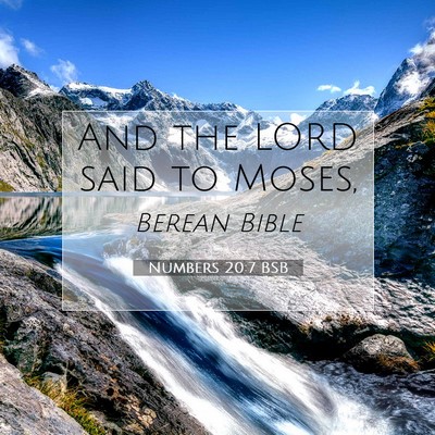 Picture 07 - Numbers 20:7 BSB - And the LORD said to - Bible Verse Picture